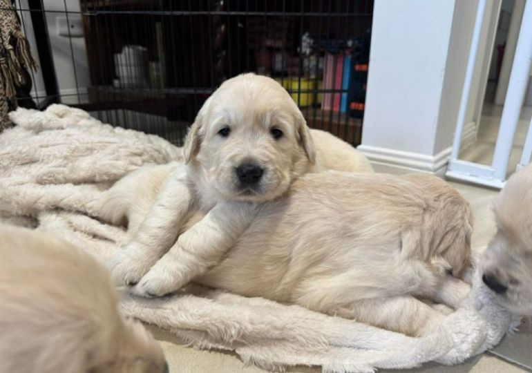 639181475719643602_d4ce72b0-2495-4f64-bd4b-74ed610d6046.jpg